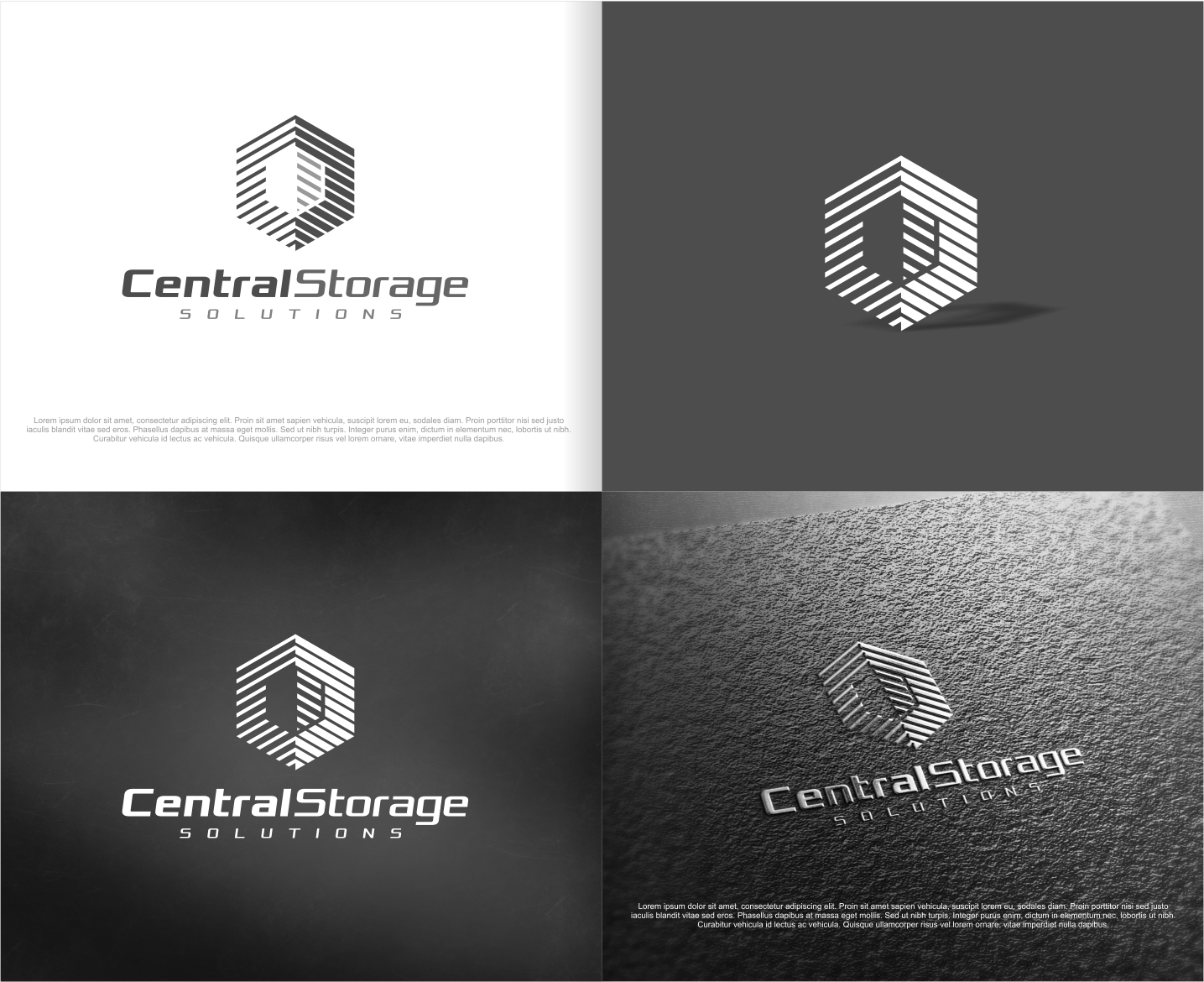 Logo Design by artswolf for Shine | Design #14859736
