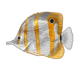 Sticker Design by dongkrak studio for this project | Design: #14796656