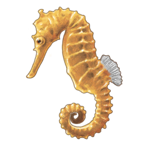 Sticker Design by dongkrak studio for this project | Design: #14796658