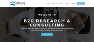 Consultant company (start up) needs a bold, yet simple web design | Diseño Wordpress por joe designs
