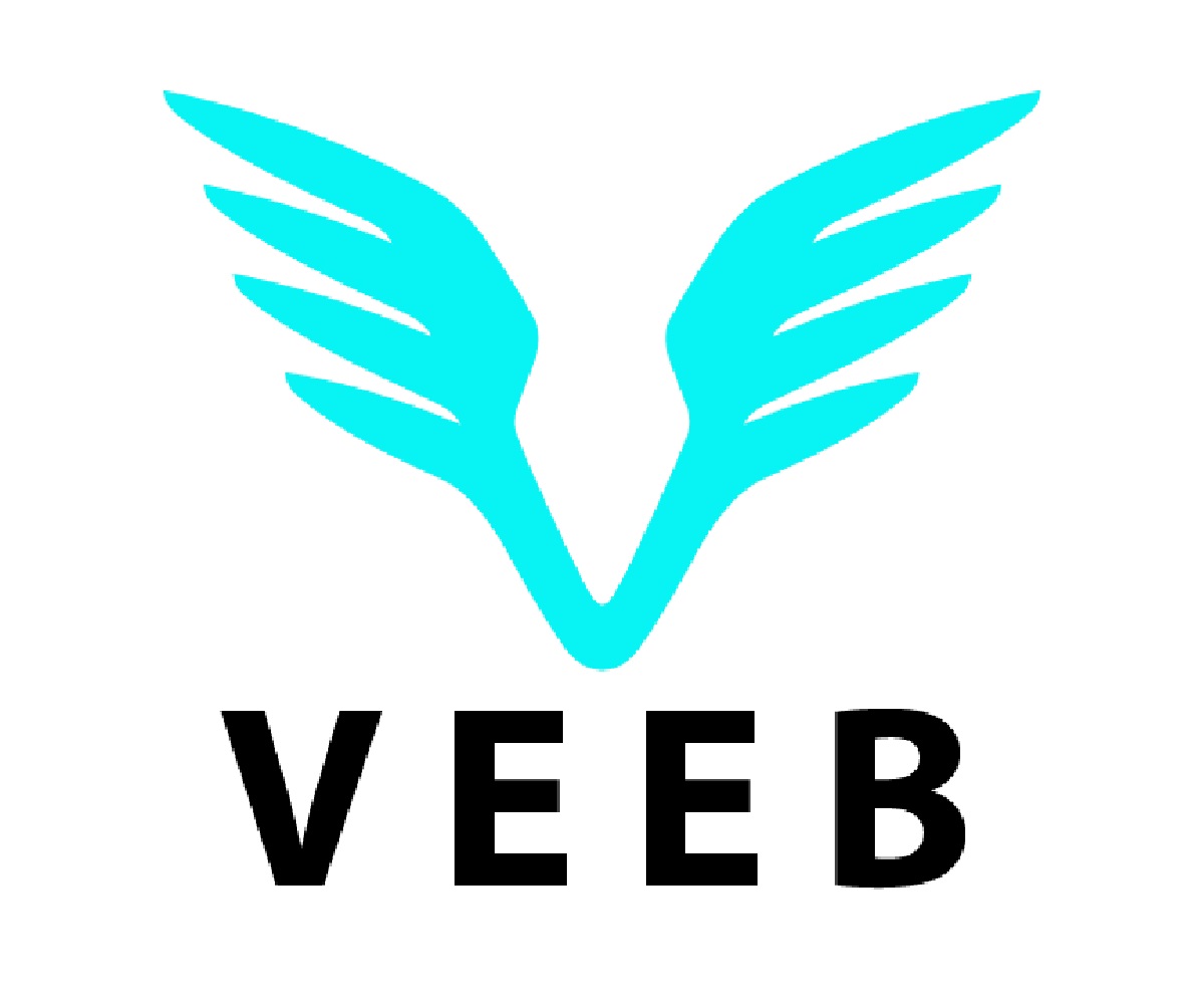 Logo Design by Sarthak for Veeb Group | Design #2682413