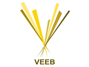 Logo Design by kaushik123 for Veeb Group | Design #2606073