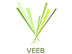 Design de Logo par kaushik123 pour Veeb Group | Design : #2606089