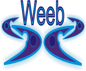 Logo Design by domi9