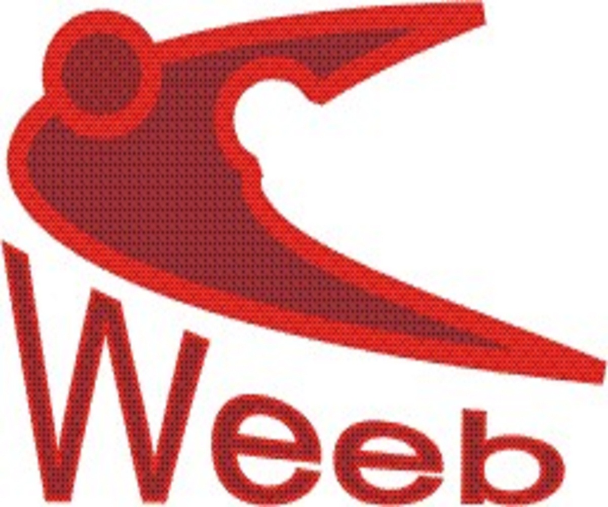 Logo Design by domi9 for Veeb Group | Design #2624400