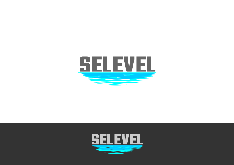 Logo-Design von Amduat Design für Selevel Inc | Design #14742591