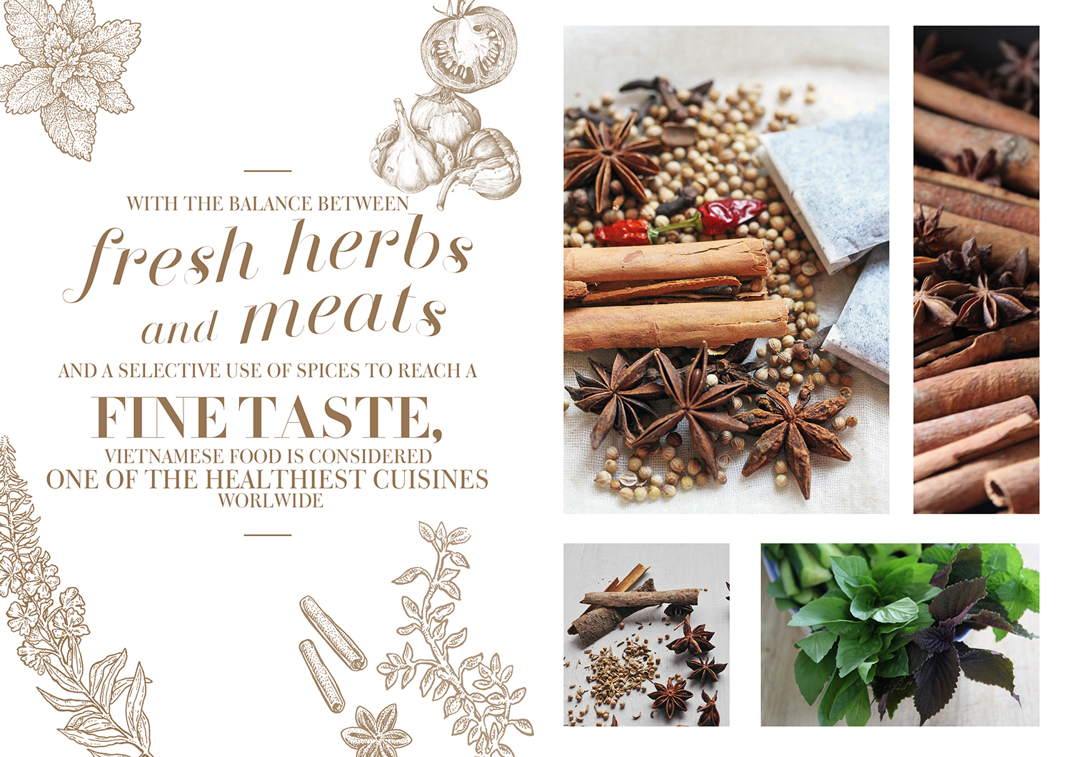 Design de Menu par mrmrnjr pour Mariedent Australia | Design #14929271