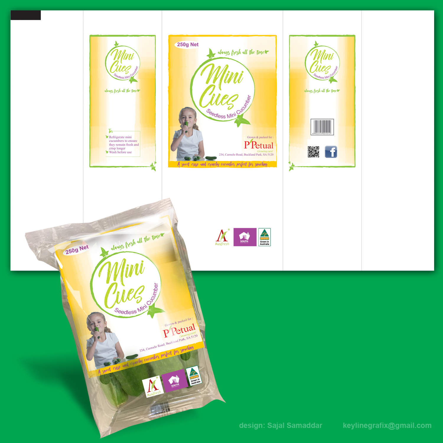 Verpackungs-Design von Sajal Samaddar für ppetual holding pty ltd | Design #14752946