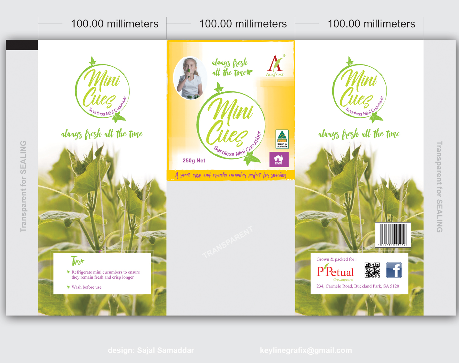 Packaging Design by Sajal Samaddar for ppetual holding pty ltd | Design #14772275