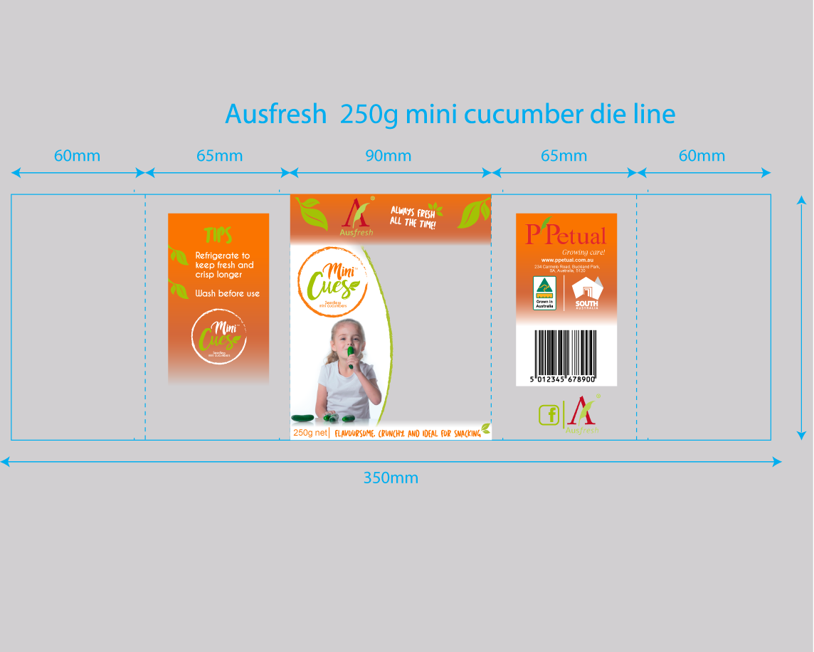 Verpackungs-Design von Daniela Abril für ppetual holding pty ltd | Design #14869196