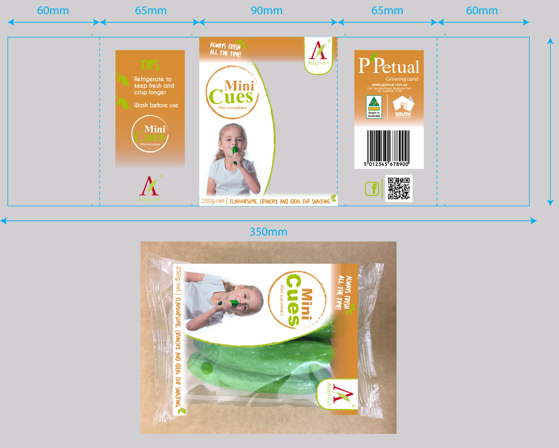 Verpackungs-Design von Daniela Abril für ppetual holding pty ltd | Design #14946796