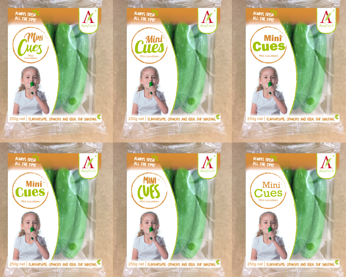 Verpackungs-Design von Daniela Abril für ppetual holding pty ltd | Design #14955823