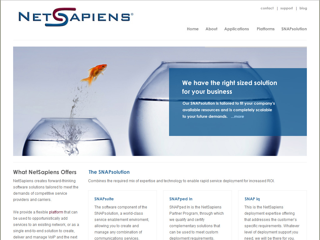 Web Design by Lara for skyswitch | Design: #572141