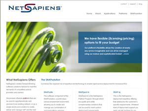 Web Design par Lara pour skyswitch | Design : #572142