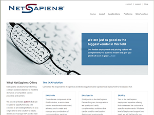 Web Design par Lara pour skyswitch | Design : #572143