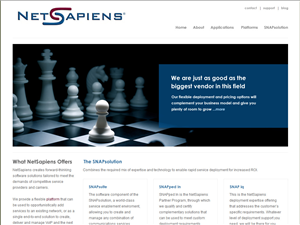 Web Design par Lara pour skyswitch | Design : #574200