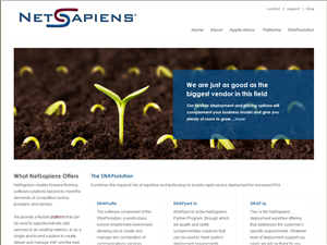 Web Design par Lara pour skyswitch | Design : #574201