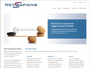 Web Design par Lara pour skyswitch | Design : #575705