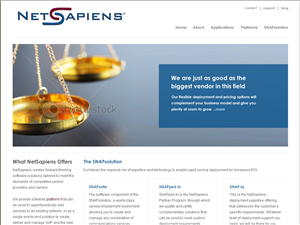 Web Design par Lara pour skyswitch | Design : #575706