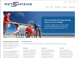 Web Design par Lara pour skyswitch | Design : #575707