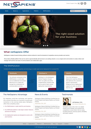 Web Design by pb for skyswitch | Design: #565589