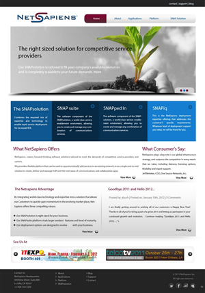 Web Design par pb pour skyswitch | Design : #565592