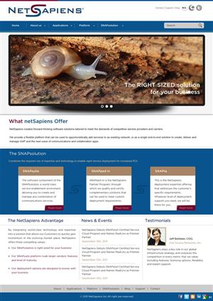 Web Design par pb pour skyswitch | Design : #566857