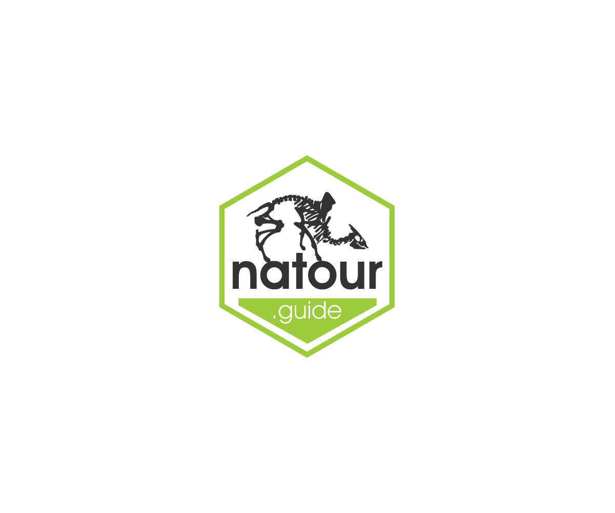 Logo-Design von taufik_alrahman für dieses Projekt | Design #14751791