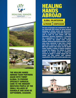 Diseño de Newsletter por isshaikh007 para Healing Hands Abroad | Diseño: #14798118