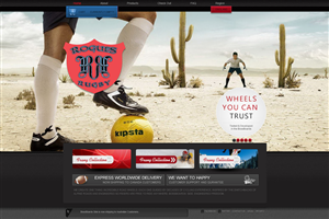 Web Design by Aydin Solutions