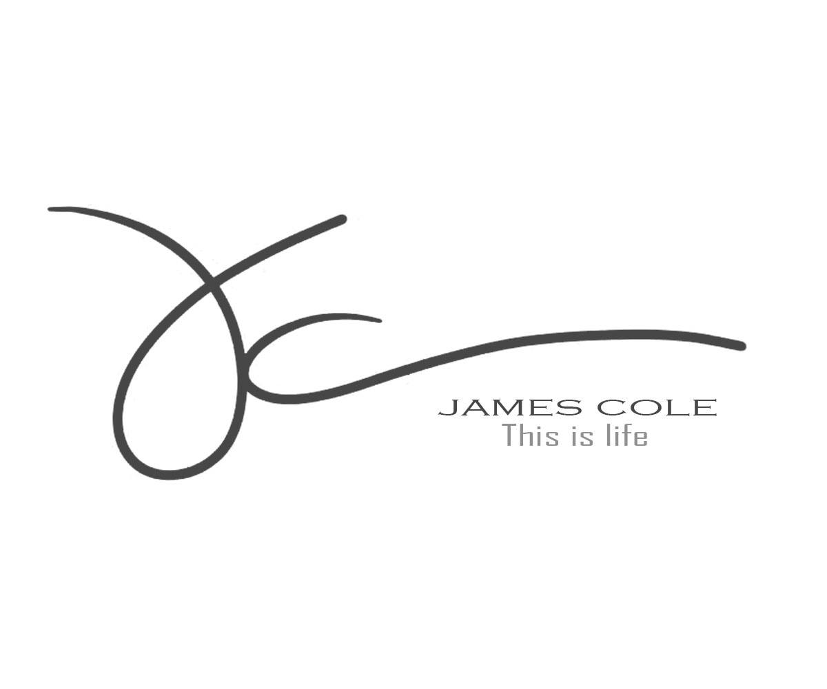 Logo Design by jamellamarijacinto for this project | Design #14875461