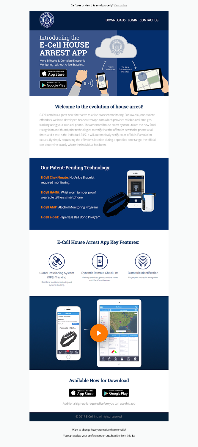 Email Marketing Design by Laurra for E-cell,inc | Design #14887953