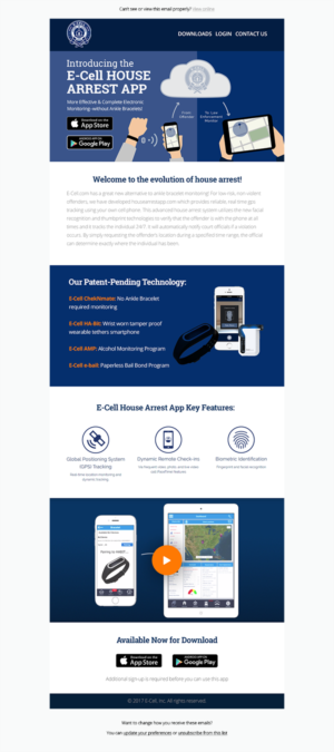 Email Marketing Design by Laurra for E-cell,inc | Design: #14887953