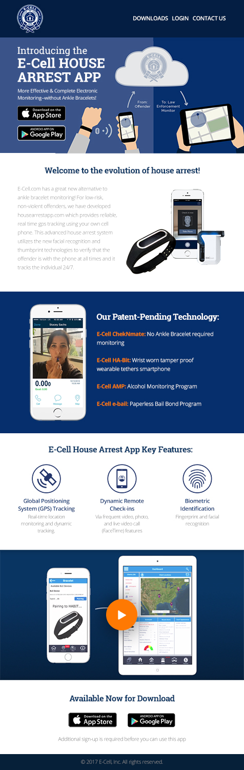 Email Marketing Design by Laurra for E-cell,inc | Design #14899923