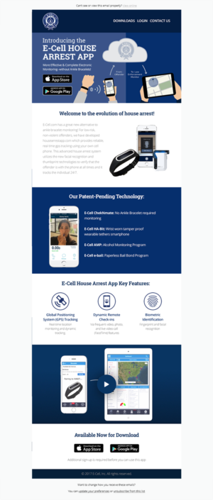 Email Marketing Design by Laurra for E-cell,inc | Design: #14906795