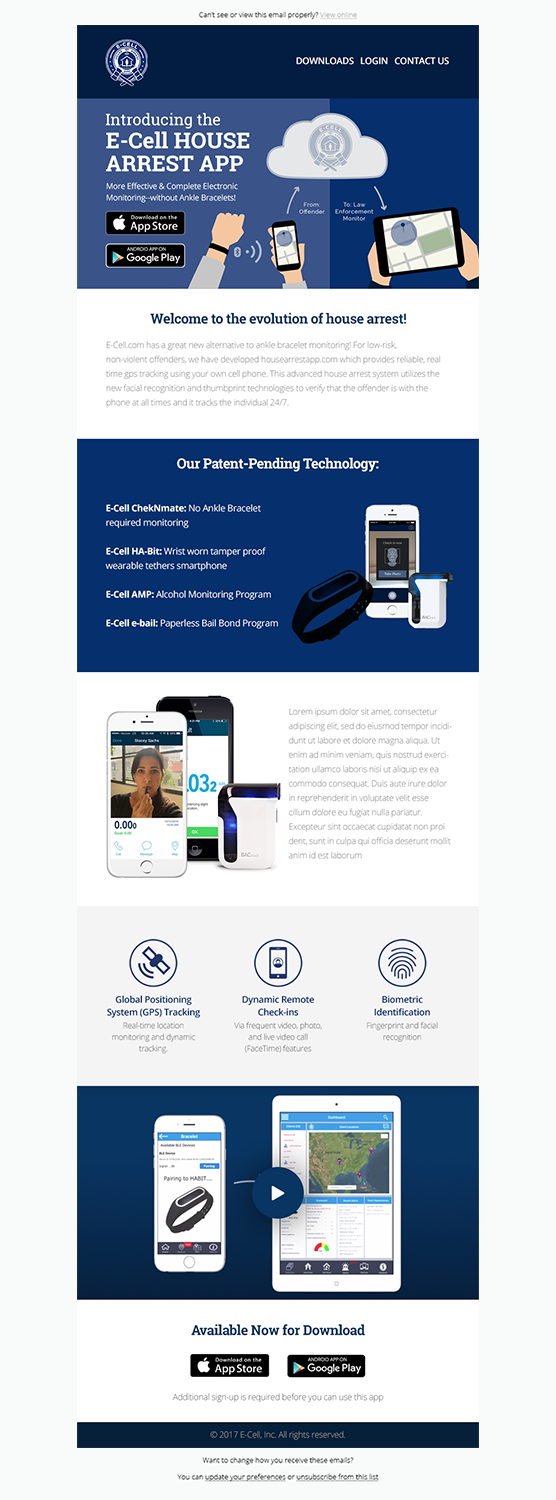 Email Marketing Design by Laurra for E-cell,inc | Design #14906896