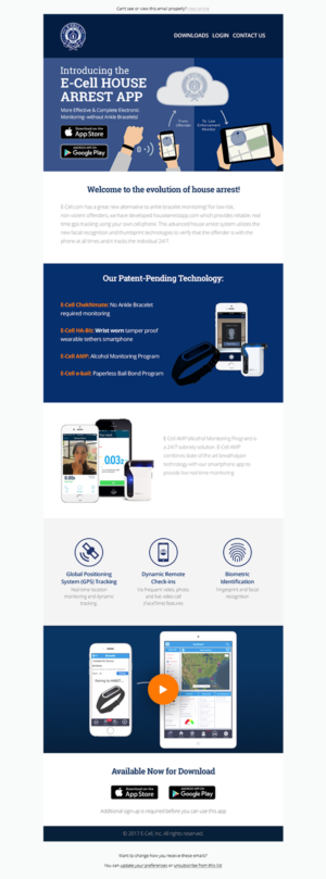 Email Marketing Design by Laurra for E-cell,inc | Design: #14979032