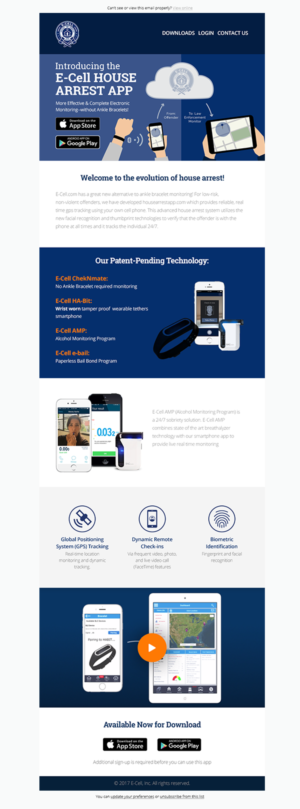 Email Marketing Design by Laurra for E-cell,inc | Design: #15011117