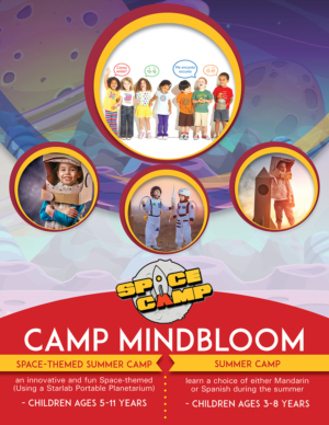 Diseño de Flyer por EA5Designs para MIndBloom Preschool | Diseño #14830776