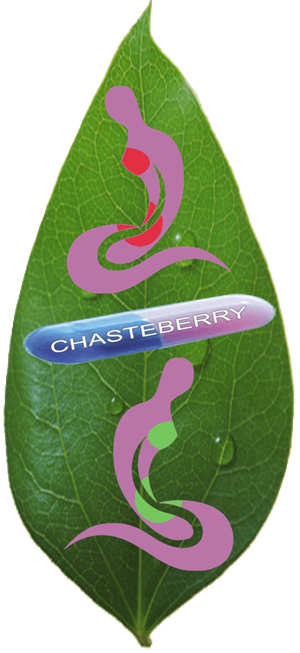Logo Design by Jarrod MadPie Greening for Organica Nutraceuticals, Inc. | Design: #2546891