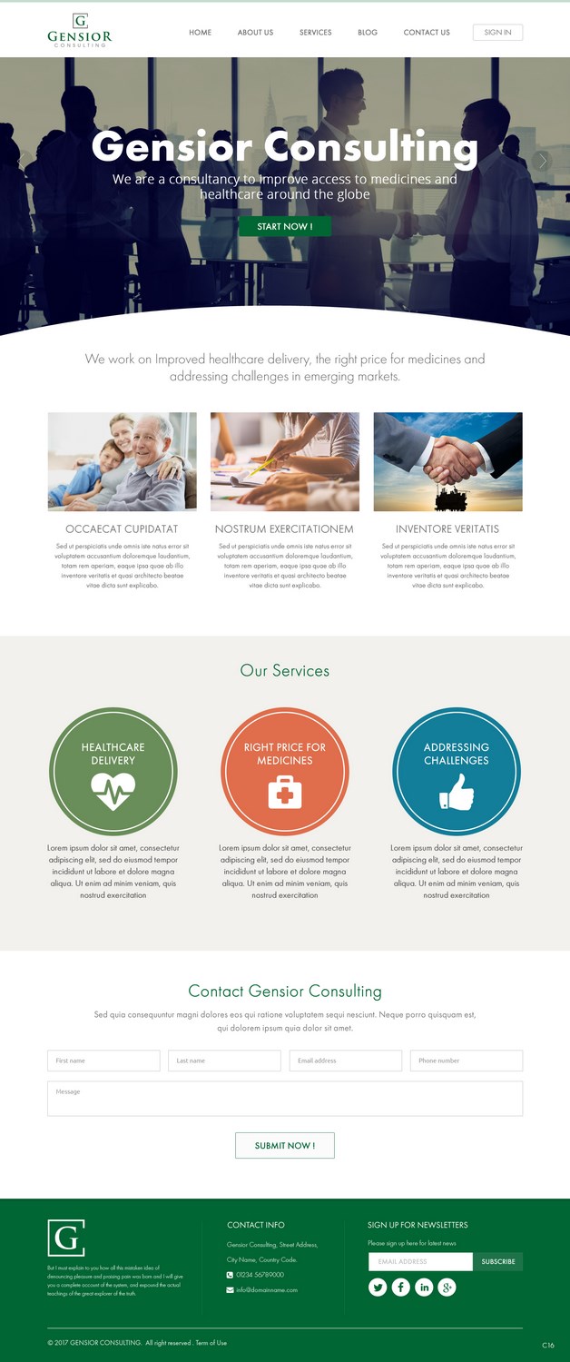 Web Design by pb for Gensior Consulting  | Design #14799884