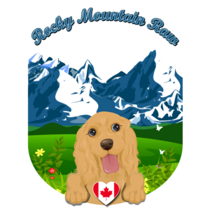 Logo Design by Malithi for this project | Design: #14807090