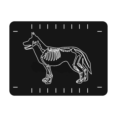 Icon Design by fidan_nabiyeva-jw for IDC | Design #14841290