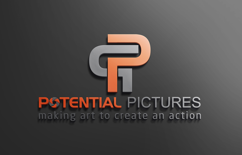 Logo Design by {Backspace} for Potential Pictures Inc | Design #14826343