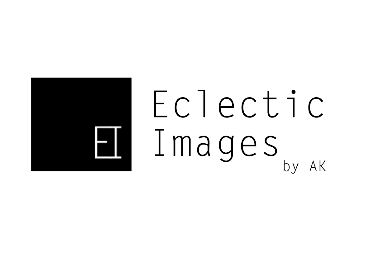 Logo Design by Lost_Artist for this project | Design #2549275