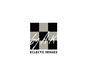 Logo Design by ARIEAL for this project | Design: #2630299