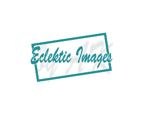 Logo Design by ARIEAL for this project | Design: #2633766