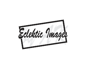 Logo Design by ARIEAL for this project | Design: #2633781
