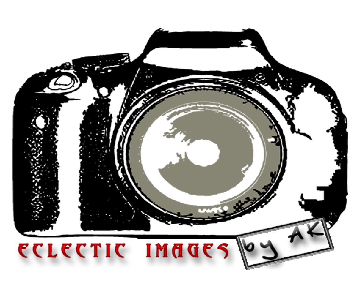 Logo Design by steve_rheza for this project | Design #2548597