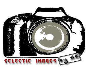 Logo Design by steve_rheza